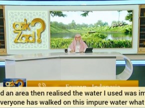 Wiped an area then realised water was impure, everyone walked on this impure water, what to do Assim