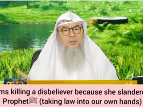 Killing a disbeliever cuz she slandered Prophet ﷺ? (taking law into your own hands)