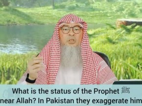 What's the status of Prophet ﷺ‎ at sight of Allah? In Pakistan people exaggerate him