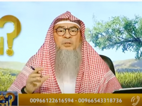 Who named the Surahs of the Quran?