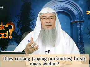 Does Cursing, using bad words (Profanity) break your wudu?