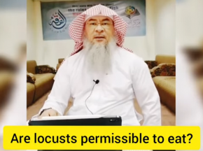 Are Locusts permissible to eat?