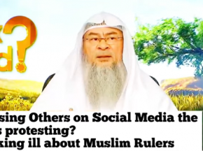 Is exposing people on Social Media same as Protesting? Speaking ill about Muslim Rulers